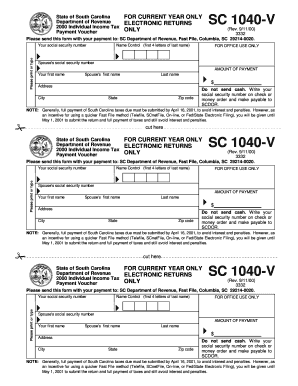 South Carolina Form 1040v