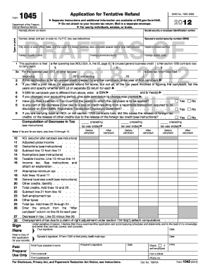 Form 1045 Example