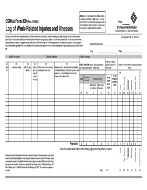 Osha Form 300 Printable Version