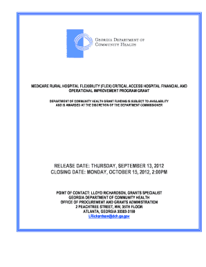 MEDICARE RURAL HOSPITAL FLEXIBILITY FLEX CRITICAL ACCESS HOSPITAL FINANCIAL and OPERATIONAL IMPROVEMENT PROGRAM GRANT Dch Georgi  Form