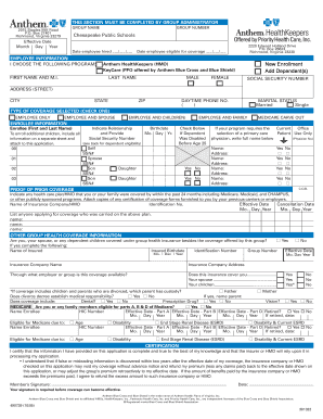 Medical Application Chesapeake Public Schools  Form