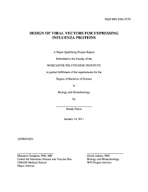 Design of Viral Vectors for Expressing Influenza Proteins Worcester Wpi  Form