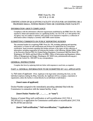 Ferc Form 556