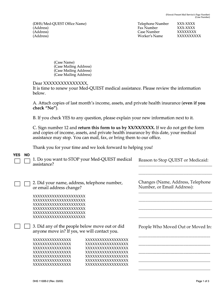  Form 1100b Hawaii 2005-2024