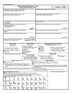 Bankruptcy Forms GreyStone Healthcare Staffing of NY, LLC 2 Kenneth Reynolds