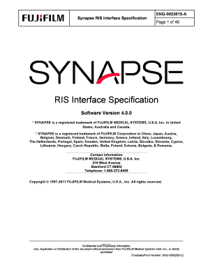Synapse Ris PDF Form