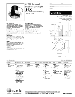 8&quot; PAR Recessed  Form