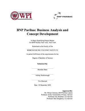 BNP Paribas Business Analysis and Concept Development  Form