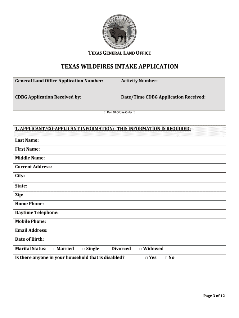 Texas Wildfires Intake Application LSS Disaster Response  Form