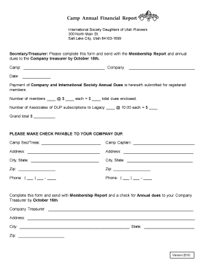 Camp Annual Financial Report Annual Financial Report  Form