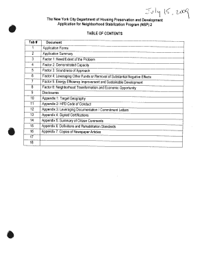 Application Summary NYC Gov Nyc  Form