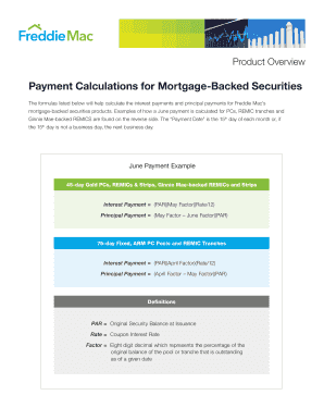 Payment Calculations for Mortgage Backed Securities  Form