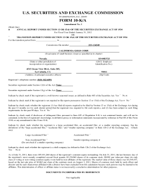 U S SECURITIES and EXCHANGE COMMISSION FORM 10 KA