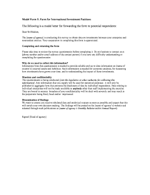 Model Form 5 Form for International Investment Positions IMF Imf