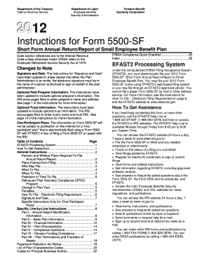 Form 5500 Sf Instructions