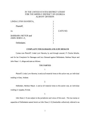 Car Accident Complaint Sample  Form