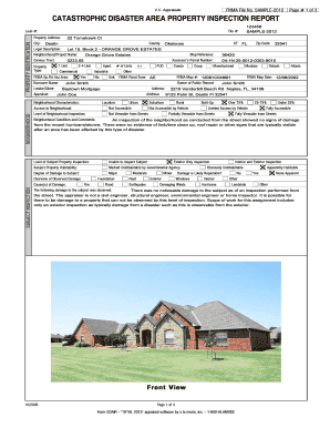 Dair Report  Form