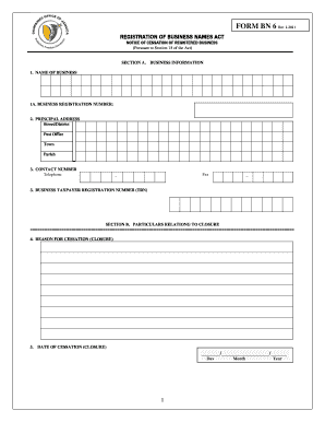 Business Registration Form Jamaica PDF