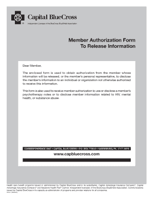 Capital Blue Authorization Form Blank