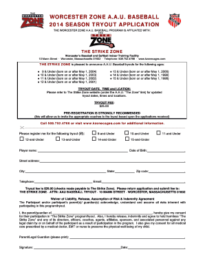 Strike Zone Baseball  Form