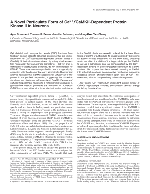 A Novel Particulate Form of Ca2 CaMKII Dependent Protein