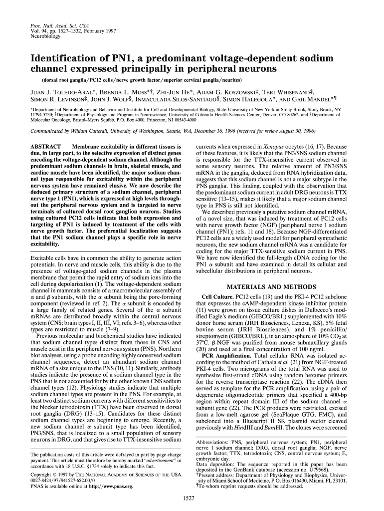 Identification of PN1, a Predominant Voltage Dependent Sodium  Form