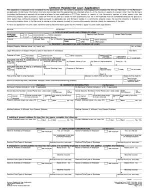 Co Borrower Information Must Also Be Provided and the Appropriate Box Checked When the Income or Assets of a Person Other Than T