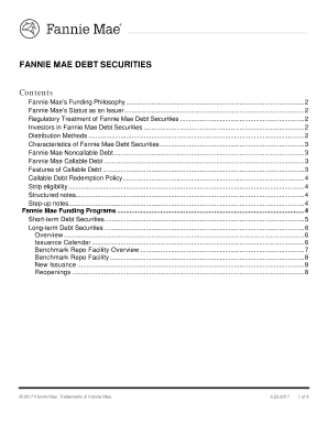 FANNIE MAE DEBT SECURITIES  Form