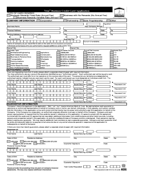 Visa Business App 8  Form