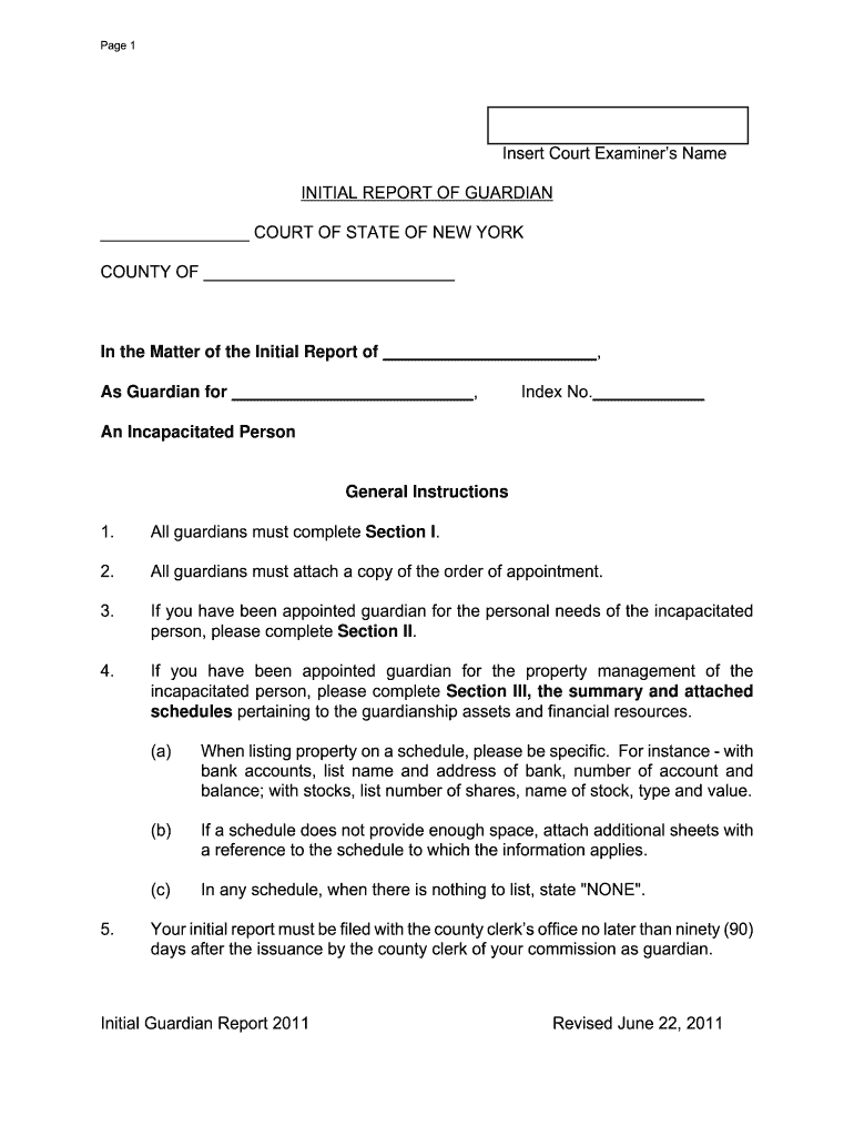  Initial Report of Guardian Form New York State 2011