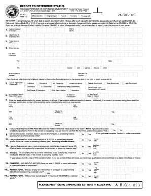  Report to Determine Status  Form 2012