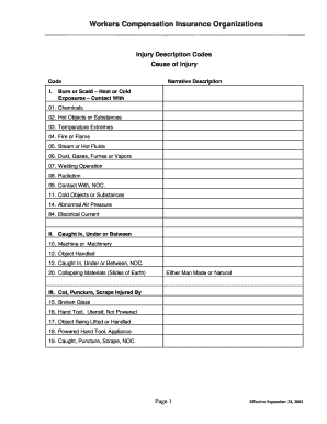 Noc Injury Workers Form