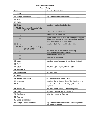 Injury Description of  Form