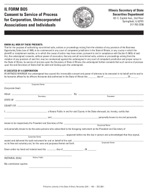 Illinois Form Consent