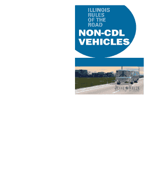  Non Cdl Illinois 2015