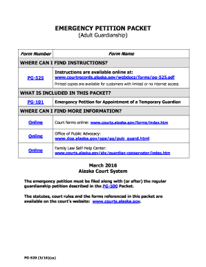 PG 520 Emergency Petition Packet Adult Coversheet  Form