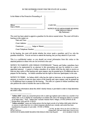 PG 621 Alaska Court Records State of Alaska  Form