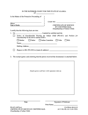 PG 623 Alaska Court Records State of Alaska  Form