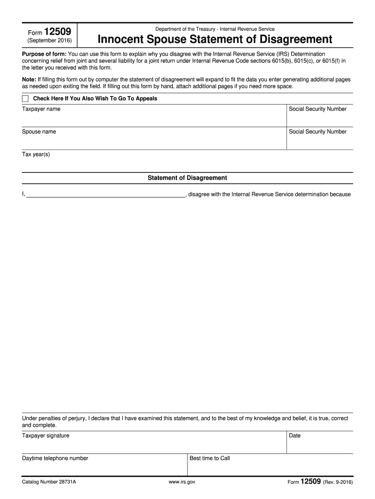  12509 Irs  Form 2016