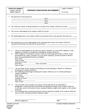 Custody Visitation Statement  Form