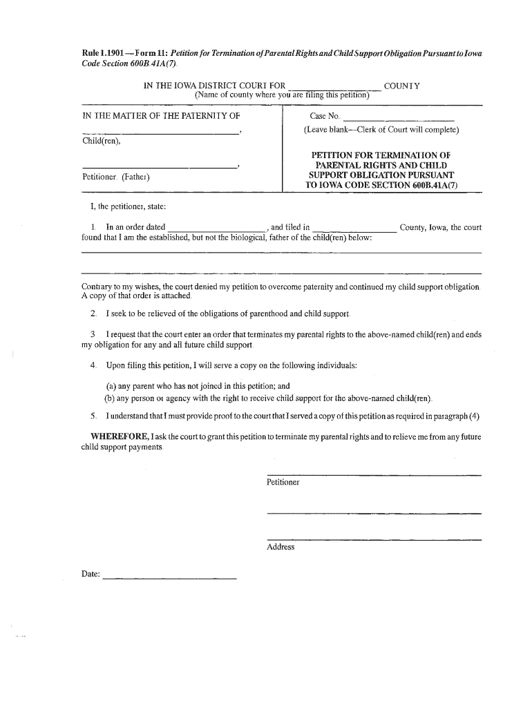 Form 11 Iowacourts