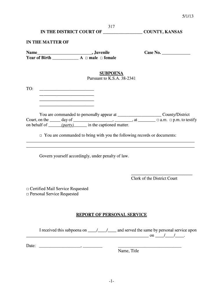  5113 1 317 in the DISTRICT COURT of Kansas Judicial Council Kansasjudicialcouncil 2013-2024