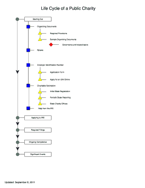 Sample Organizing Documents  Form