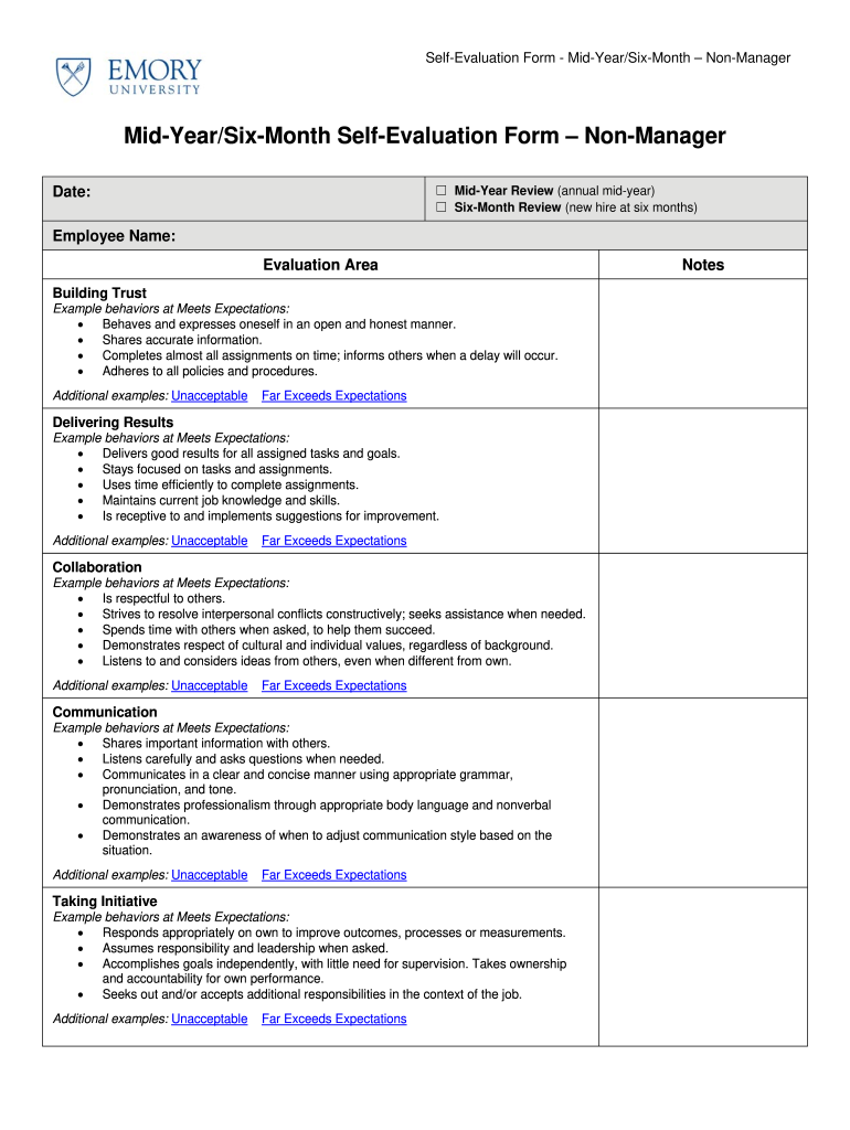 Mid Year Review Examples  Form