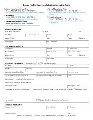 Bayou Health Prior Authorization Form