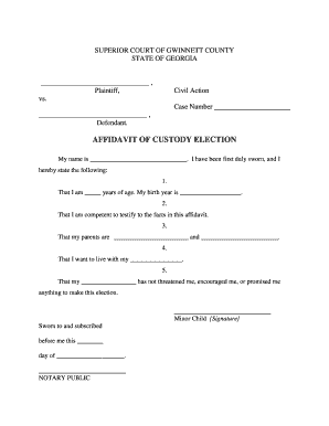 Affidavit of Custody Election Georgia  Form
