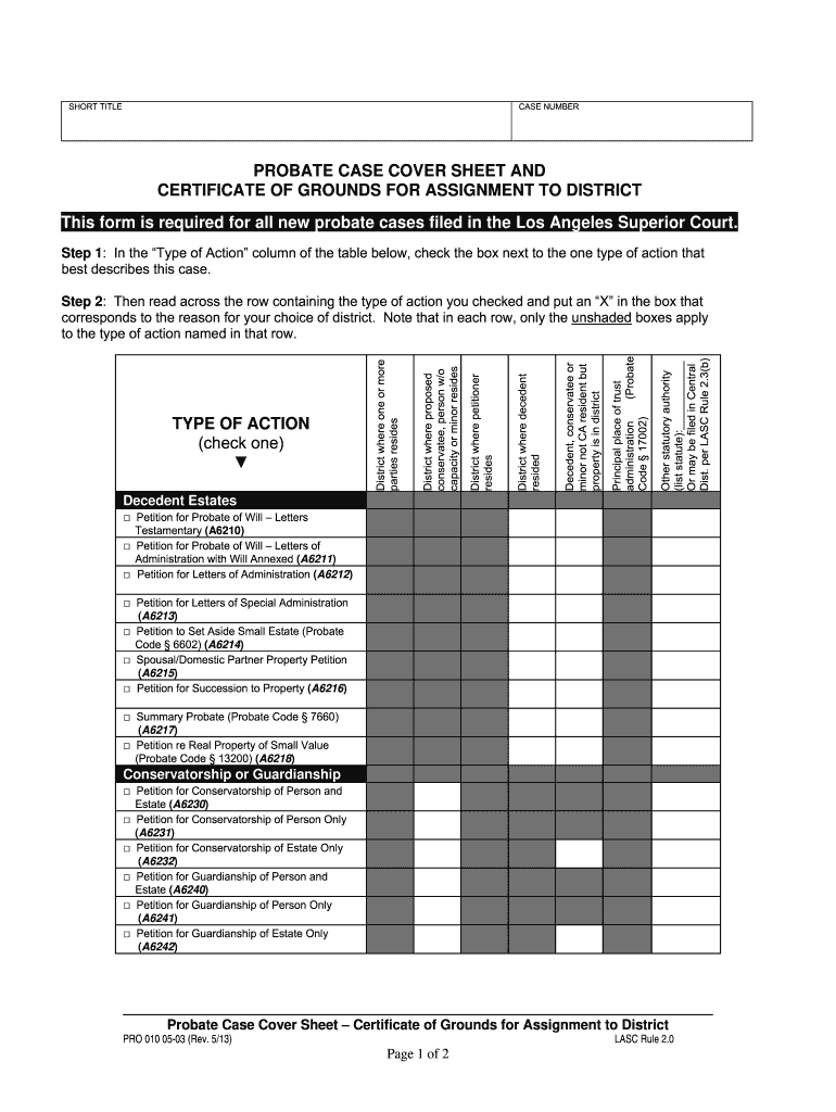  Pro 010  Form 2013