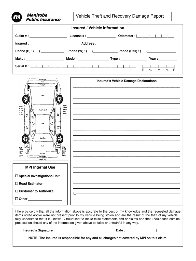  Vehicle Theft Report 2008-2024