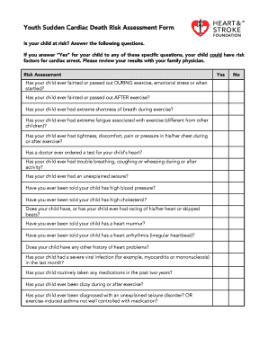 Youth Risk Assessment Template  Form