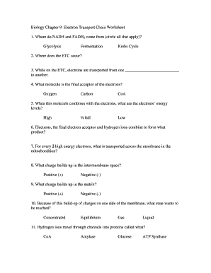 Electron Transport Chain Worksheet  Form